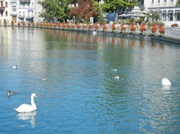 walk along river in Thun