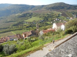 the valley below Motovun