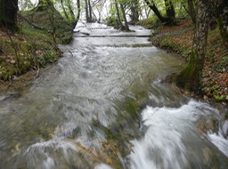 DSCN3137