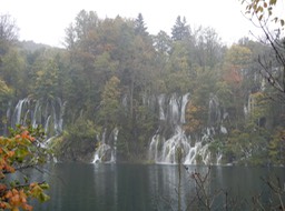 DSCN3139