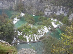 DSCN3161