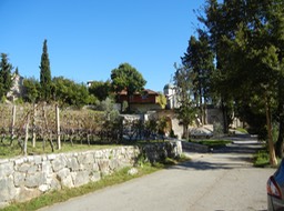 Greek Orthodox monastery (and winery) stop in Bosnia