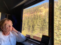 enjoying the scenery