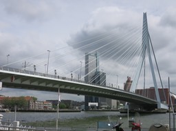 Erasmus bridge in Rotterdam