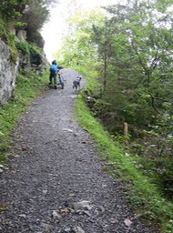 everyone hikes on Lake Brienz