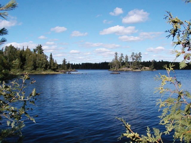 from East side of camp - 2002