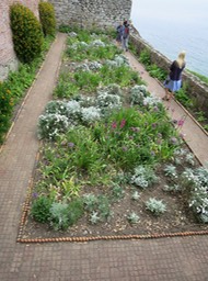 gardens on St. Michael's Mount