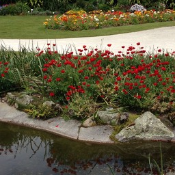 Government Gardens, Rotorua