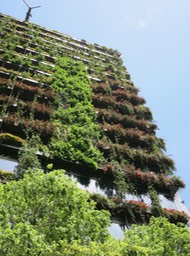grrow plants right on the building!