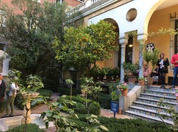 guardens at Joaqjin Sorolla Museum (3)