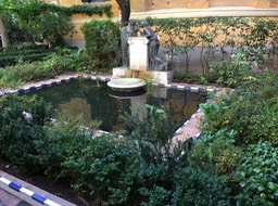 guardens at Joaqjin Sorolla Museum (5)