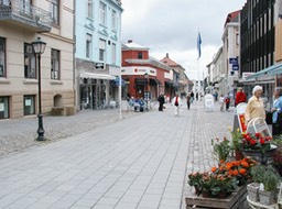 Halden-1