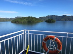 headed out on Marlborough Sounds