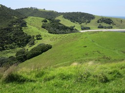 hiking on Urupukapuka Island
