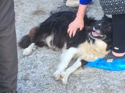 I will give you five minutes to stop that!