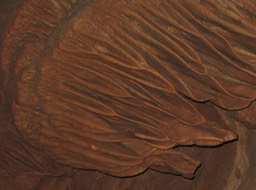 Skyline Caverns - 4