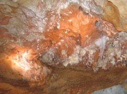 more anthodites