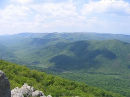 Blue Ridge view