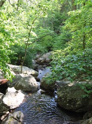 Peaks of Otter hike
