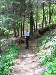 nice roadside hiking trail