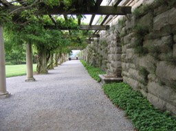 grounds by the house