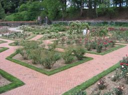 more gardens