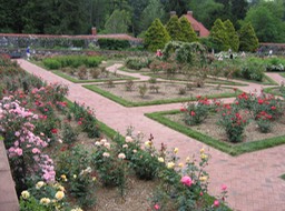 more gardens - again