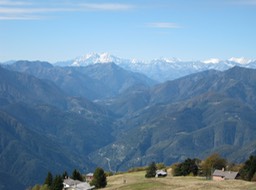 IMG_0187