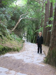 easy hiking near Muckross House
