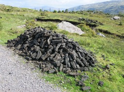 peat harvested