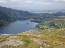 a view from Healy Pass