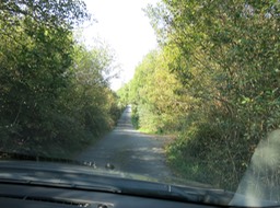 part of our road on Ring of Kerry