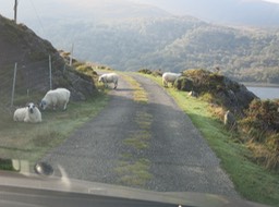 we drove 5 miles of this road to Gleninchaquin Park