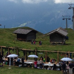 local alpine cheese makers with their wares for sale