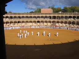 bullring with Karate folks