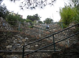 IMG_0852