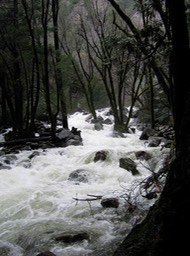 Bridalveil creek