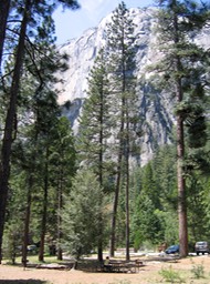 our picnic spot