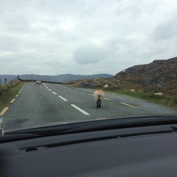 road hazards even on a main road