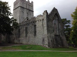 Muckross Abbey; burned by Cromwell's troops in 1652