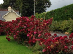 home in Kenmare