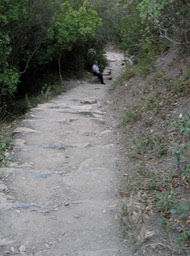 IMG_1446