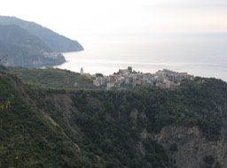 IMG_1449