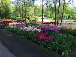 IMG_1902