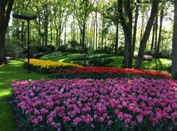 IMG_1905