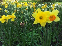 IMG_1913