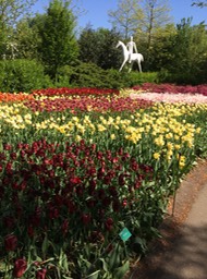 IMG_1924