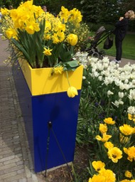 IMG_2013