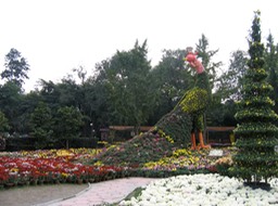 IMG_2527