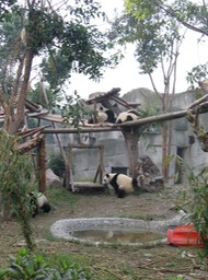 IMG_2539